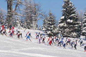 Deportes nórdicos y de invierno 1